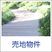 売地物件